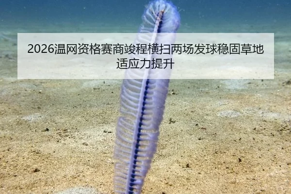 2026温网资格赛商竣程横扫两场发球稳固草地适应力提升